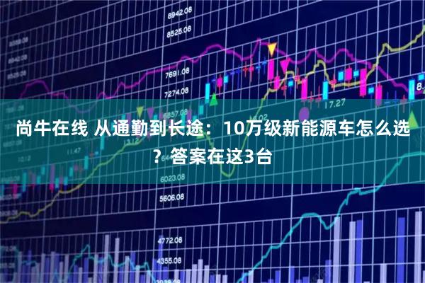 尚牛在线 从通勤到长途：10万级新能源车怎么选？答案在这3台