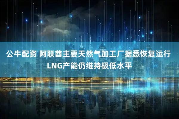 公牛配资 阿联酋主要天然气加工厂据悉恢复运行 LNG产能仍维持极低水平